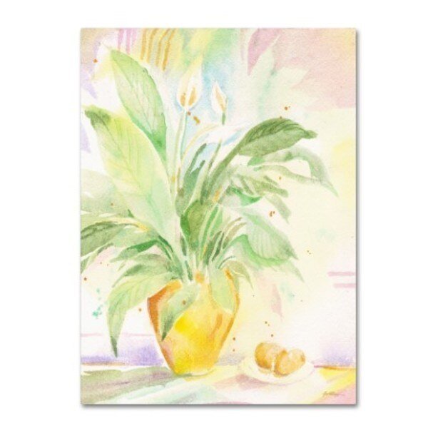 Sheila Golden 'The Peace Lily' Canvas Art, 26x32, Trademark Fine Art, Mfr#: SG5663-C2632GG